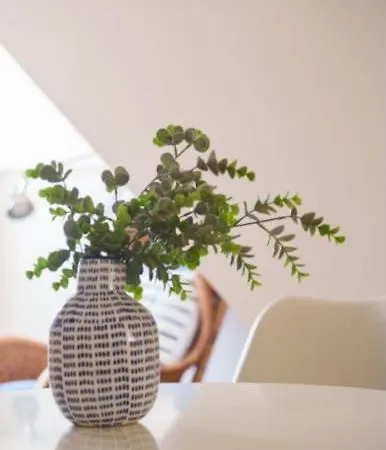 Apartamento Sonhos 17